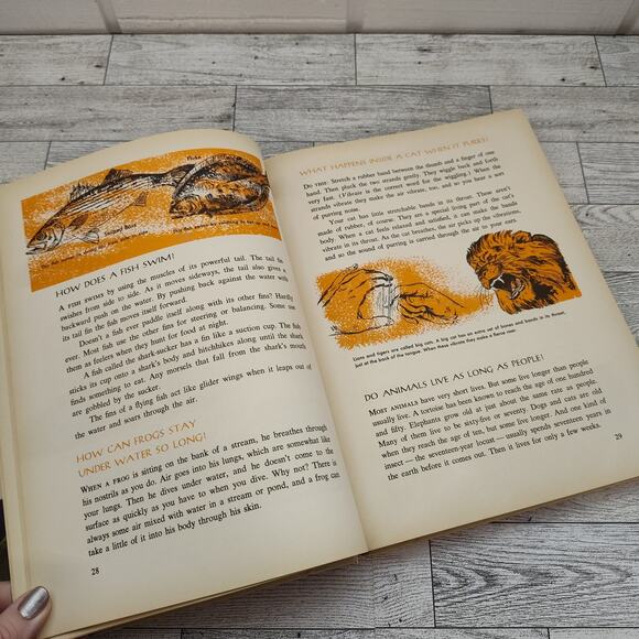 The Answer Book 300 Questions Children Ask Most Often - Mary Elting HC Book 1963 - Picture 3 of 15